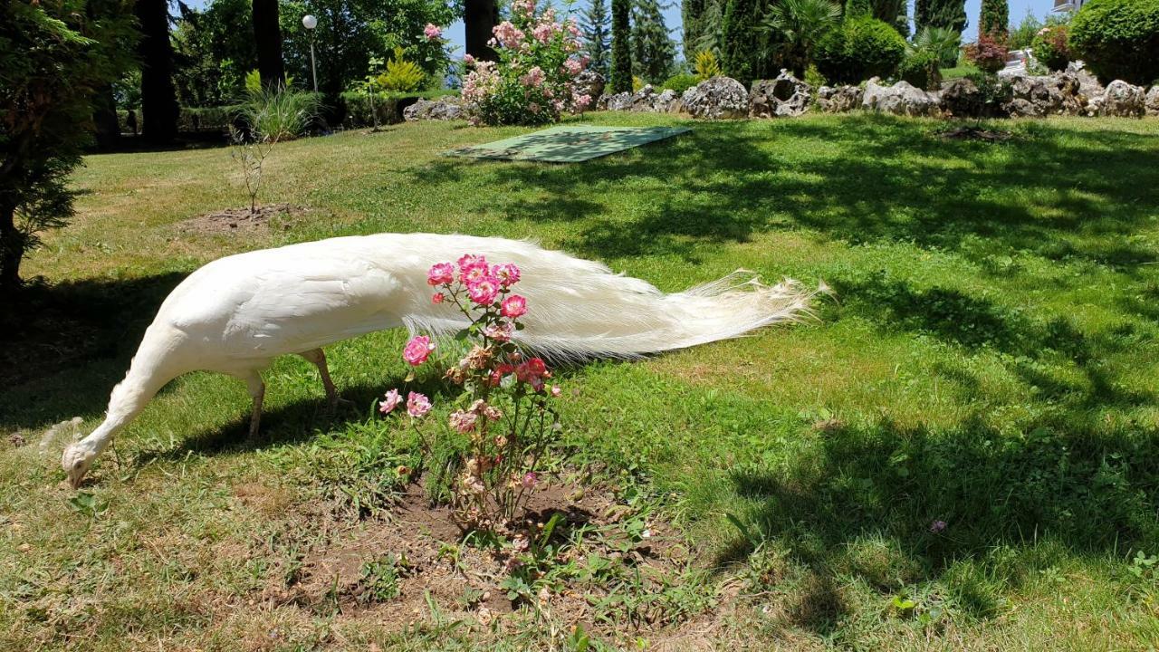 Villa Dudanov โอครีด ภายนอก รูปภาพ